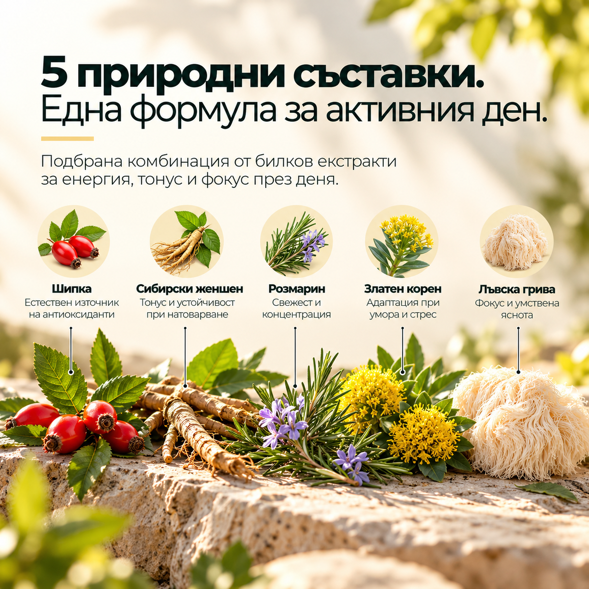 Енергия и Фокус – билков екстракт за енергия, жизненост и концентрация